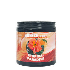 Breeze Odor Candle - 13oz