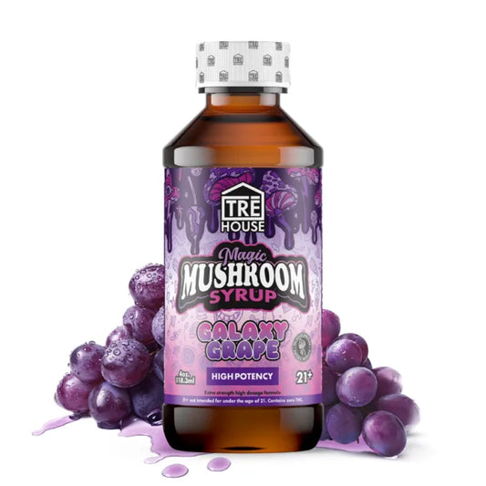 Tre House 4oz Mushroom Syrup - 6ct