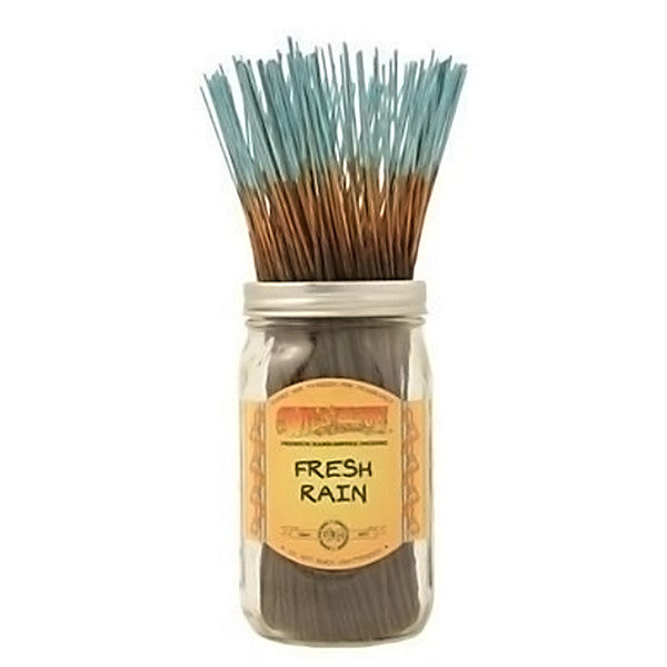 Wild Berry Incense Sticks - 100ct - Assorted Scents