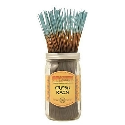 Wild Berry Incense Sticks - 100ct - Assorted Scents