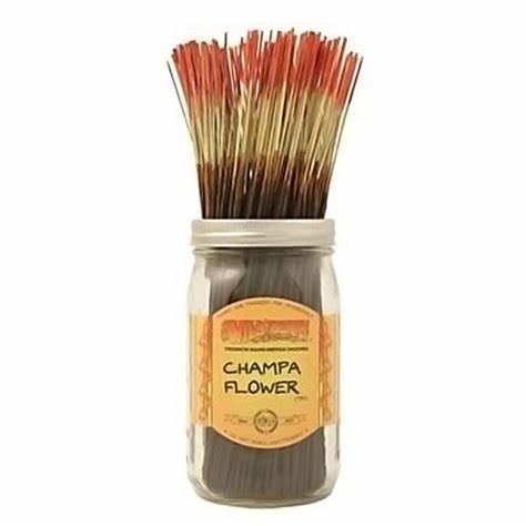 Wild Berry Incense Sticks - 100ct - Assorted Scents