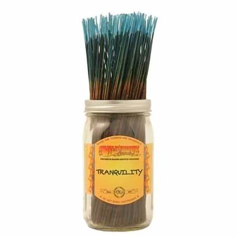 Wild Berry Incense Sticks - 100ct - Assorted Scents