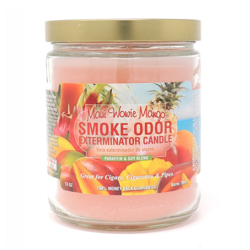 Smoke Odor Eliminator Candle - 13oz - Assorted Scents Collection