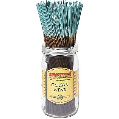 Wild Berry Incense Sticks - 100ct - Assorted Scents