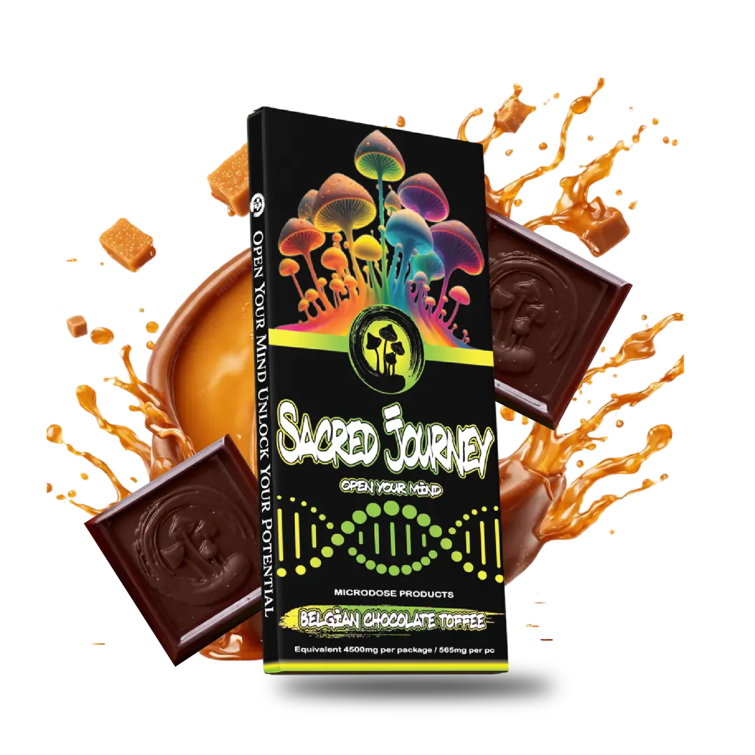Sacred Journey - Mushroom Chocolate Bars - 6ct