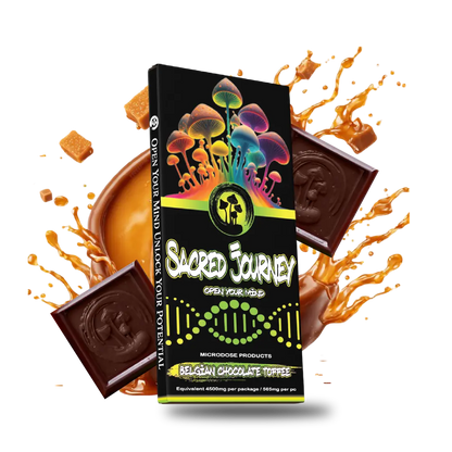 Sacred Journey - Mushroom Chocolate Bars - 6ct