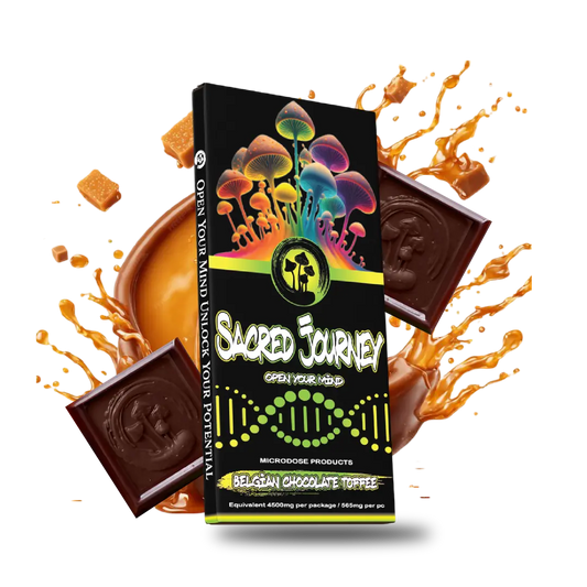Sacred Journey - Mushroom Chocolate Bars - 6ct