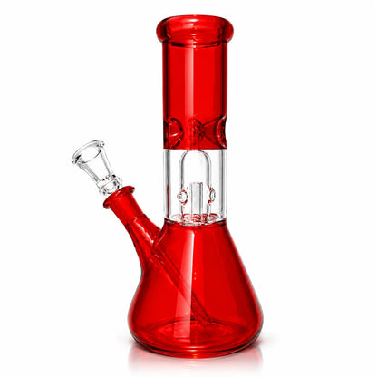 WP - 8" Dome Perc - Assorted Colors