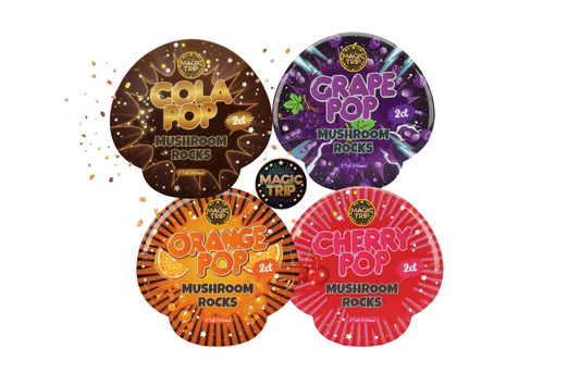 Magic Trip Mushroom Rocks - 2pk - 20ct