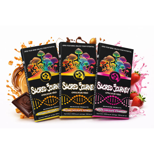 Sacred Journey - Mushroom Chocolate Bars - 6ct