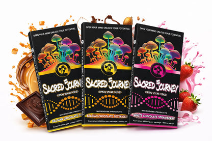 Sacred Journey - Mushroom Chocolate Bars - 6ct