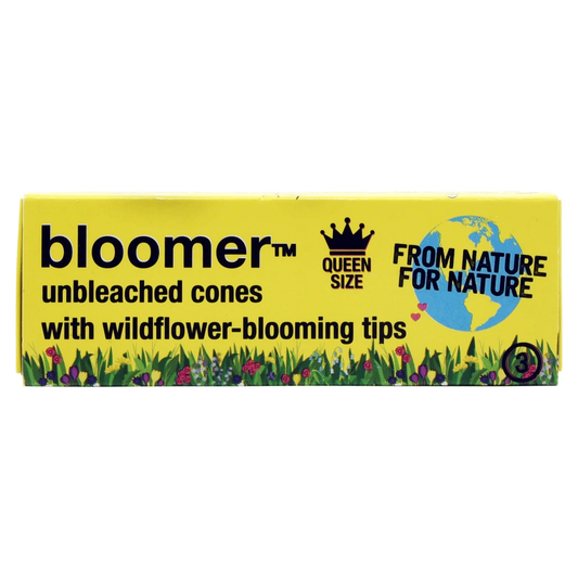 Bloomer Cones - Queen Size - 3pk