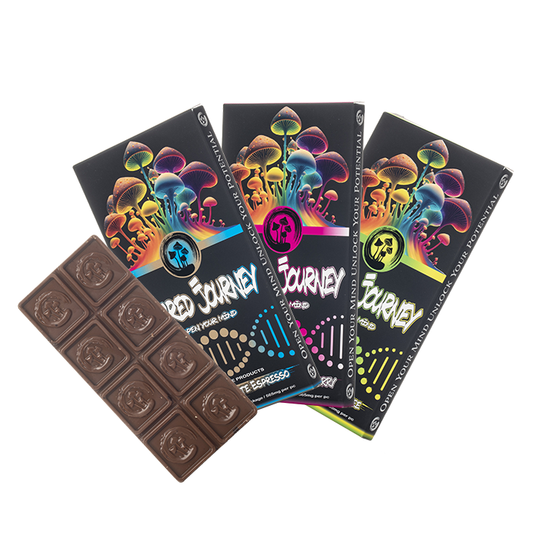 Sacred Journey - Mushroom Chocolate Bars - 6ct