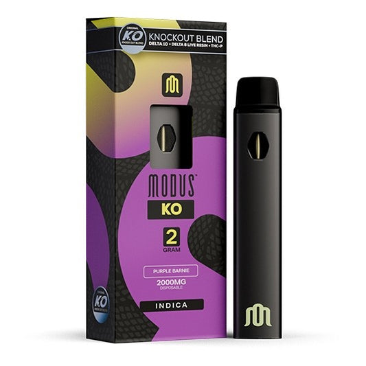 Modus Medusa KO Dispo 2G - Purple Barnie